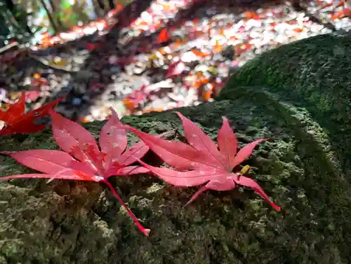 滑川神社 - 仕事と子どもの守り神の自然