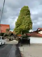 日蔵寺の{uncategorized: "未分類", other: "その他", undefined: "問題あり", building: "その他建物", grave: "お墓", sacred_gate: "鳥居", guardian: "狛犬", statue: "像", buddha: "仏像", history: "歴史", nature: "自然", garden: "庭園", animal: "動物", pagoda: "塔", temizu: "手水舎", mountain_gate: "山門・神門", sanctuary: "本殿・本堂", subordinate: "末社・摂社", art: "芸術", scenery: "景色", jizo: "地蔵", ema: "絵馬", goshuin: "御朱印", omikuji: "おみくじ", items: "授与品その他", amulet: "お守り", goshuincho: "御朱印帳", eats: "食事", festival: "お祭り", votive_dance: "神楽", shichigosan: "七五三参", wedding: "結婚式", experience: "体験その他", initially: "初詣", around: "周辺", anti_infection: "感染症対策"}