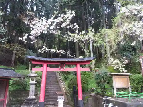 幣掛神社の自然