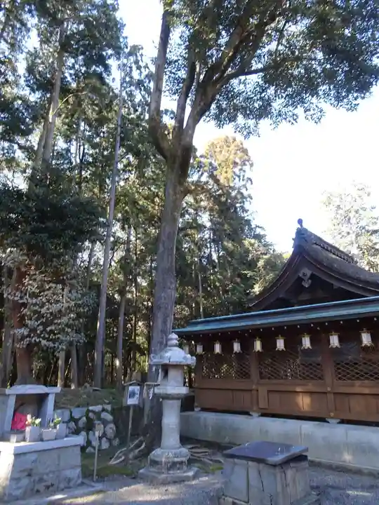 印岐志呂神社(滋賀県)