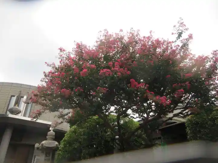 真珠院(東京都)