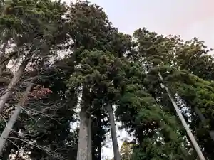 大宮温泉神社(栃木県)(2022年12月11日(日) 22時29分16秒投稿)