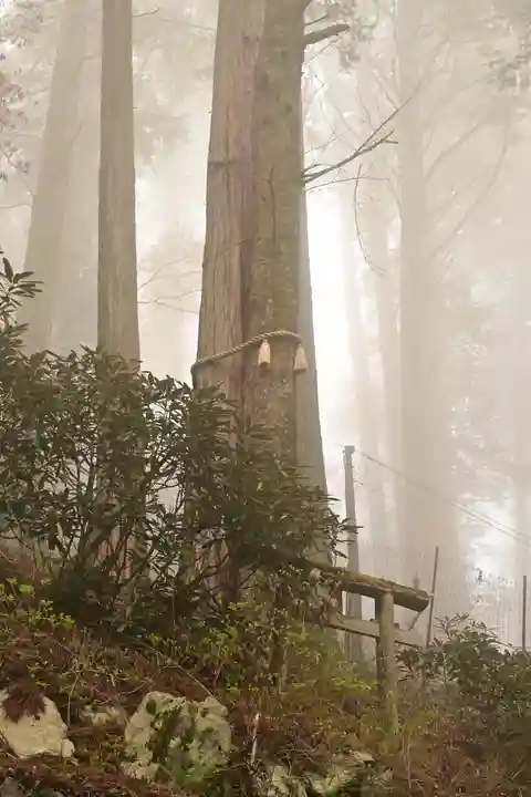 三峯神社(埼玉県)