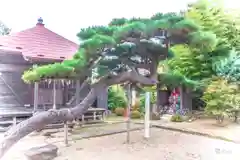 七郷神社(宮城県)