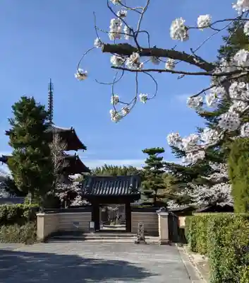 法輪寺の山門・神門