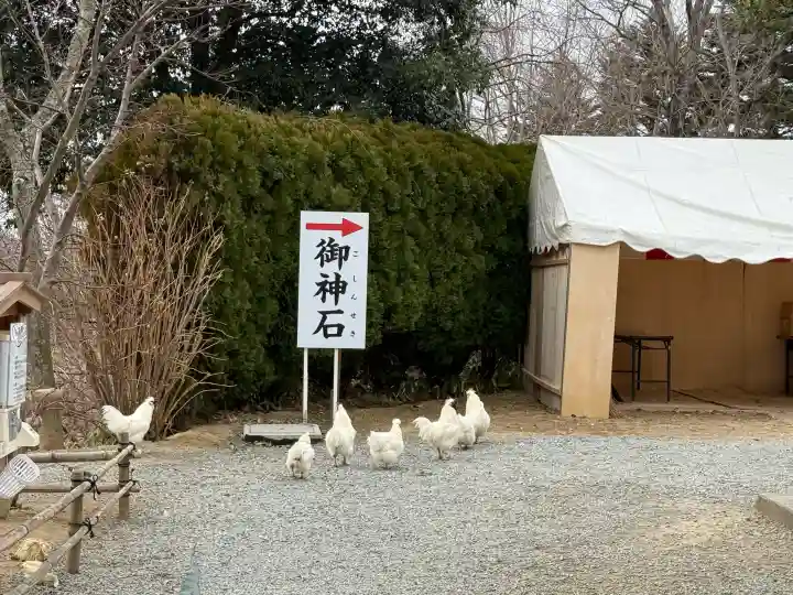 高屋敷稲荷神社の{uncategorized: "未分類", other: "その他", undefined: "問題あり", building: "その他建物", grave: "お墓", sacred_gate: "鳥居", guardian: "狛犬", statue: "像", buddha: "仏像", history: "歴史", nature: "自然", garden: "庭園", animal: "動物", pagoda: "塔", temizu: "手水舎", mountain_gate: "山門・神門", sanctuary: "本殿・本堂", subordinate: "末社・摂社", art: "芸術", scenery: "景色", jizo: "地蔵", ema: "絵馬", goshuin: "御朱印", omikuji: "おみくじ", items: "授与品その他", amulet: "お守り", goshuincho: "御朱印帳", eats: "食事", festival: "お祭り", votive_dance: "神楽", shichigosan: "七五三参", wedding: "結婚式", experience: "体験その他", initially: "初詣", around: "周辺", anti_infection: "感染症対策"}