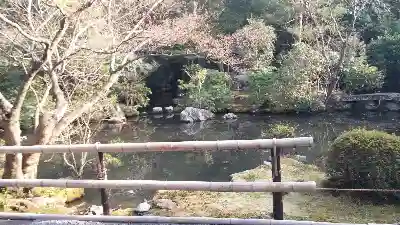 金地院の庭園