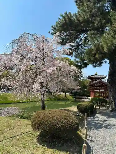 平等院(京都府)