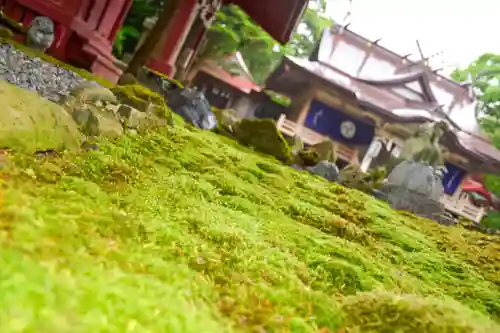 尻岸内八幡神社の景色