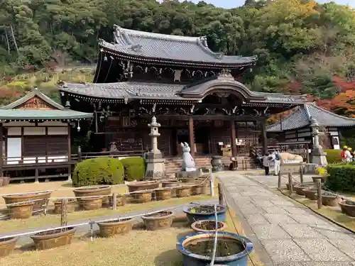 三室戸寺(京都府)