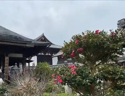 當麻寺中之坊の自然