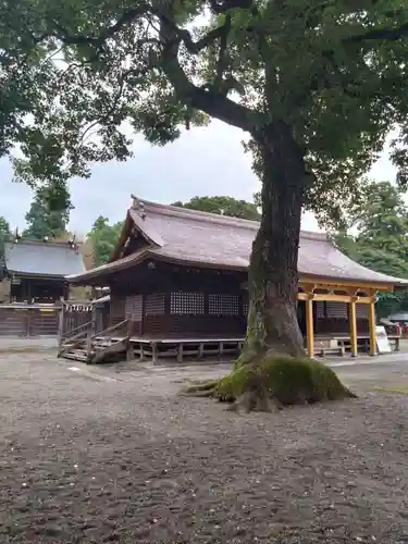 鷲宮神社の本殿