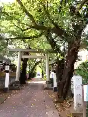 田端神社(東京都)