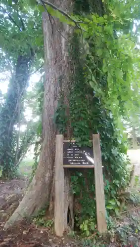 角田神社の自然