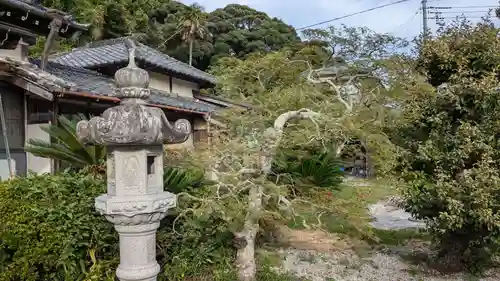 安養寺の庭園