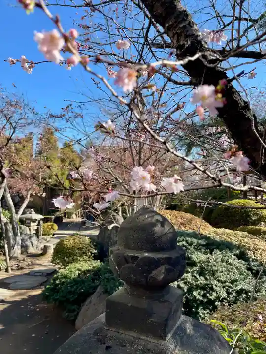 清光院(東京都)