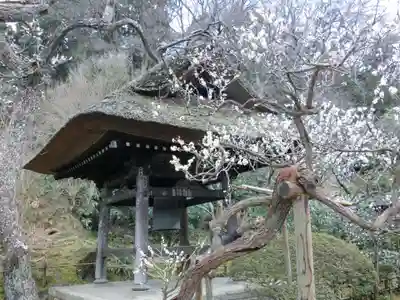 東慶寺のその他建物