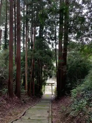 天照大神社の鳥居