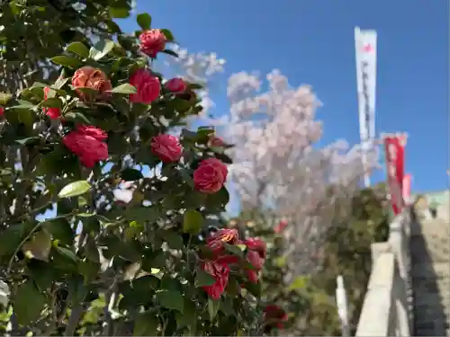 成田山名古屋別院大聖寺(犬山成田山)(愛知県)