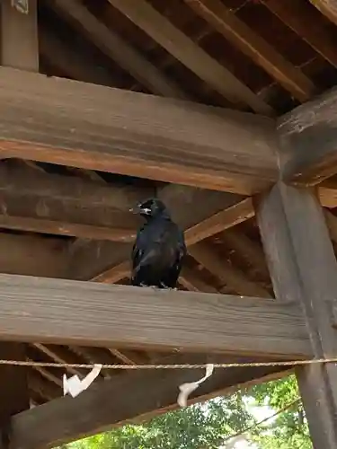 富士浅間神社(群馬県)
