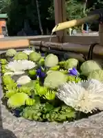 城南神社の手水舎