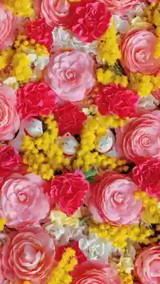 御井神社(岐阜県)