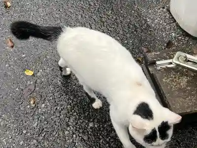 唐澤山神社(栃木県)
