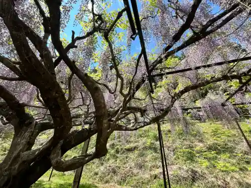 天台宗 五大山 白毫寺(兵庫県)