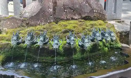 九頭龍神社新宮の{uncategorized: "未分類", other: "その他", undefined: "問題あり", building: "その他建物", grave: "お墓", sacred_gate: "鳥居", guardian: "狛犬", statue: "像", buddha: "仏像", history: "歴史", nature: "自然", garden: "庭園", animal: "動物", pagoda: "塔", temizu: "手水舎", mountain_gate: "山門・神門", sanctuary: "本殿・本堂", subordinate: "末社・摂社", art: "芸術", scenery: "景色", jizo: "地蔵", ema: "絵馬", goshuin: "御朱印", omikuji: "おみくじ", items: "授与品その他", amulet: "お守り", goshuincho: "御朱印帳", eats: "食事", festival: "お祭り", votive_dance: "神楽", shichigosan: "七五三参", wedding: "結婚式", experience: "体験その他", initially: "初詣", around: "周辺", anti_infection: "感染症対策"}