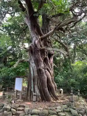 大瀬神社(静岡県)