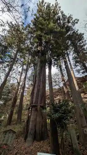 石山寺(滋賀県)