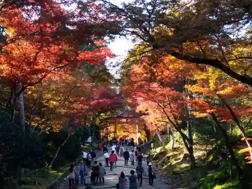 日吉大社の自然