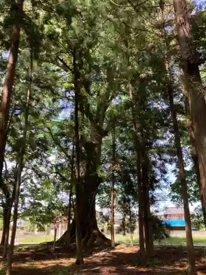 小原神社(茨城県)