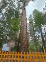 高千穂神社(宮崎県)