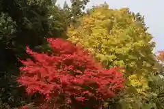 豊景神社の自然