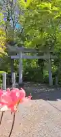 氷上神社の{uncategorized: "未分類", other: "その他", undefined: "問題あり", building: "その他建物", grave: "お墓", sacred_gate: "鳥居", guardian: "狛犬", statue: "像", buddha: "仏像", history: "歴史", nature: "自然", garden: "庭園", animal: "動物", pagoda: "塔", temizu: "手水舎", mountain_gate: "山門・神門", sanctuary: "本殿・本堂", subordinate: "末社・摂社", art: "芸術", scenery: "景色", jizo: "地蔵", ema: "絵馬", goshuin: "御朱印", omikuji: "おみくじ", items: "授与品その他", amulet: "お守り", goshuincho: "御朱印帳", eats: "食事", festival: "お祭り", votive_dance: "神楽", shichigosan: "七五三参", wedding: "結婚式", experience: "体験その他", initially: "初詣", around: "周辺", anti_infection: "感染症対策"}