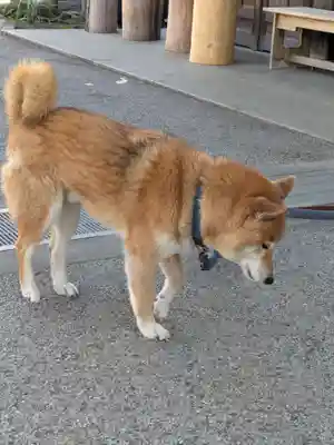 感通寺(東京都)