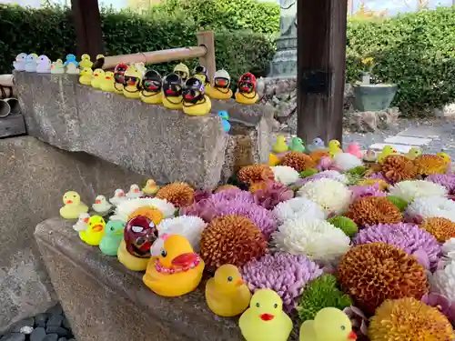 くろ谷 金戒光明寺の手水舎