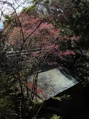 久能山東照宮(静岡県)