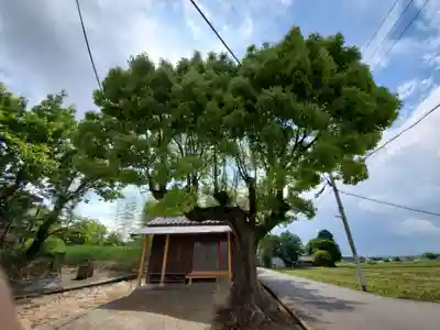 古神大年神社の自然