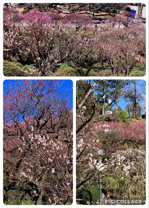 池上本門寺(東京都)