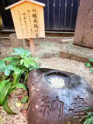 陽運寺(東京都)
