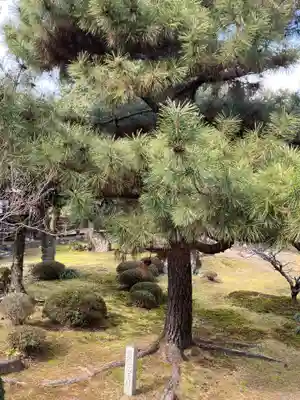 大覚寺(京都府)