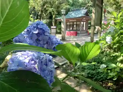 江島神社(神奈川県)