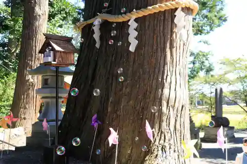 高司神社〜むすびの神の鎮まる社〜の体験その他