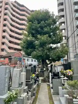 正洞院の{uncategorized: "未分類", other: "その他", undefined: "問題あり", building: "その他建物", grave: "お墓", sacred_gate: "鳥居", guardian: "狛犬", statue: "像", buddha: "仏像", history: "歴史", nature: "自然", garden: "庭園", animal: "動物", pagoda: "塔", temizu: "手水舎", mountain_gate: "山門・神門", sanctuary: "本殿・本堂", subordinate: "末社・摂社", art: "芸術", scenery: "景色", jizo: "地蔵", ema: "絵馬", goshuin: "御朱印", omikuji: "おみくじ", items: "授与品その他", amulet: "お守り", goshuincho: "御朱印帳", eats: "食事", festival: "お祭り", votive_dance: "神楽", shichigosan: "七五三参", wedding: "結婚式", experience: "体験その他", initially: "初詣", around: "周辺", anti_infection: "感染症対策"}