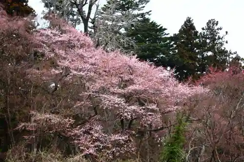 三春大神宮の自然
