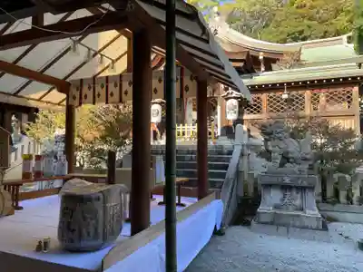 多井畑厄除八幡宮(兵庫県)