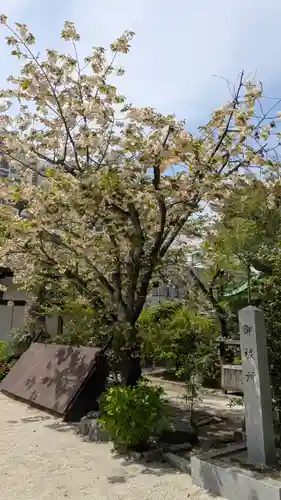 白峯神宮(京都府)