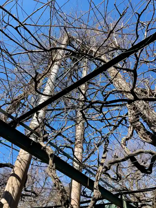 國領神社の{uncategorized: "未分類", other: "その他", undefined: "問題あり", building: "その他建物", grave: "お墓", sacred_gate: "鳥居", guardian: "狛犬", statue: "像", buddha: "仏像", history: "歴史", nature: "自然", garden: "庭園", animal: "動物", pagoda: "塔", temizu: "手水舎", mountain_gate: "山門・神門", sanctuary: "本殿・本堂", subordinate: "末社・摂社", art: "芸術", scenery: "景色", jizo: "地蔵", ema: "絵馬", goshuin: "御朱印", omikuji: "おみくじ", items: "授与品その他", amulet: "お守り", goshuincho: "御朱印帳", eats: "食事", festival: "お祭り", votive_dance: "神楽", shichigosan: "七五三参", wedding: "結婚式", experience: "体験その他", initially: "初詣", around: "周辺", anti_infection: "感染症対策"}